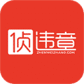 侦违章